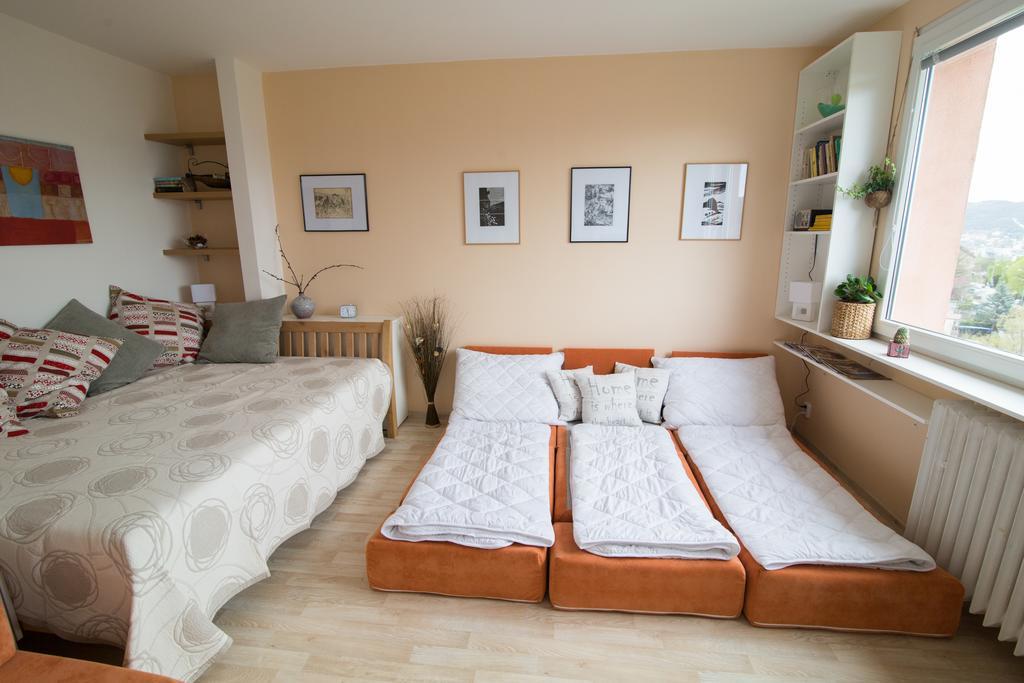 Apartman Labe Ústí nad Labem Exteriör bild